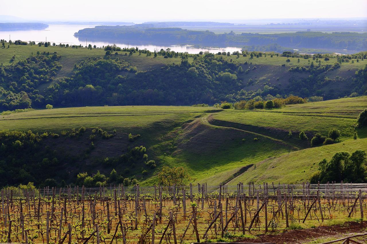Seven Generations Winery Hotel Mechka 外观 照片