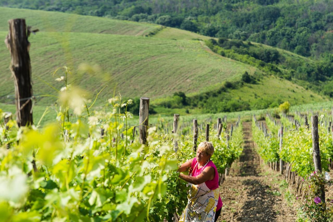 Seven Generations Winery Hotel Mechka 外观 照片